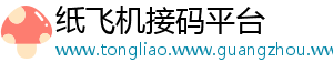 纸飞机接码平台